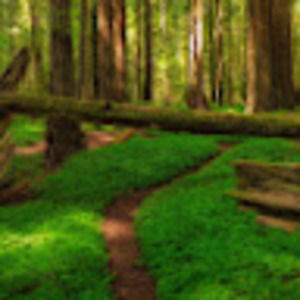 Meet your Posher, Evan